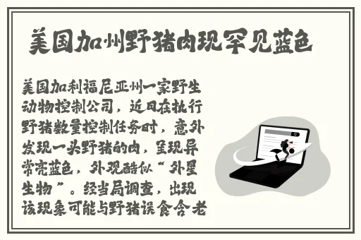 野花韩国高清在线观看视频